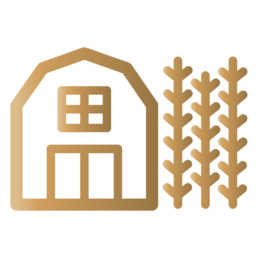 Gold USDA loan icon, The Parent Team mortgage lenders